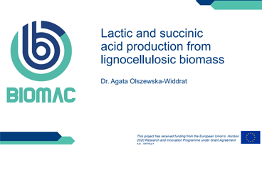 download material image lactic