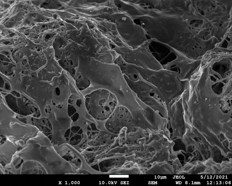 nanocellulose-1