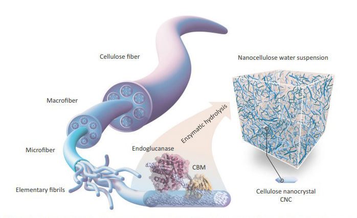 nanocellulose-2