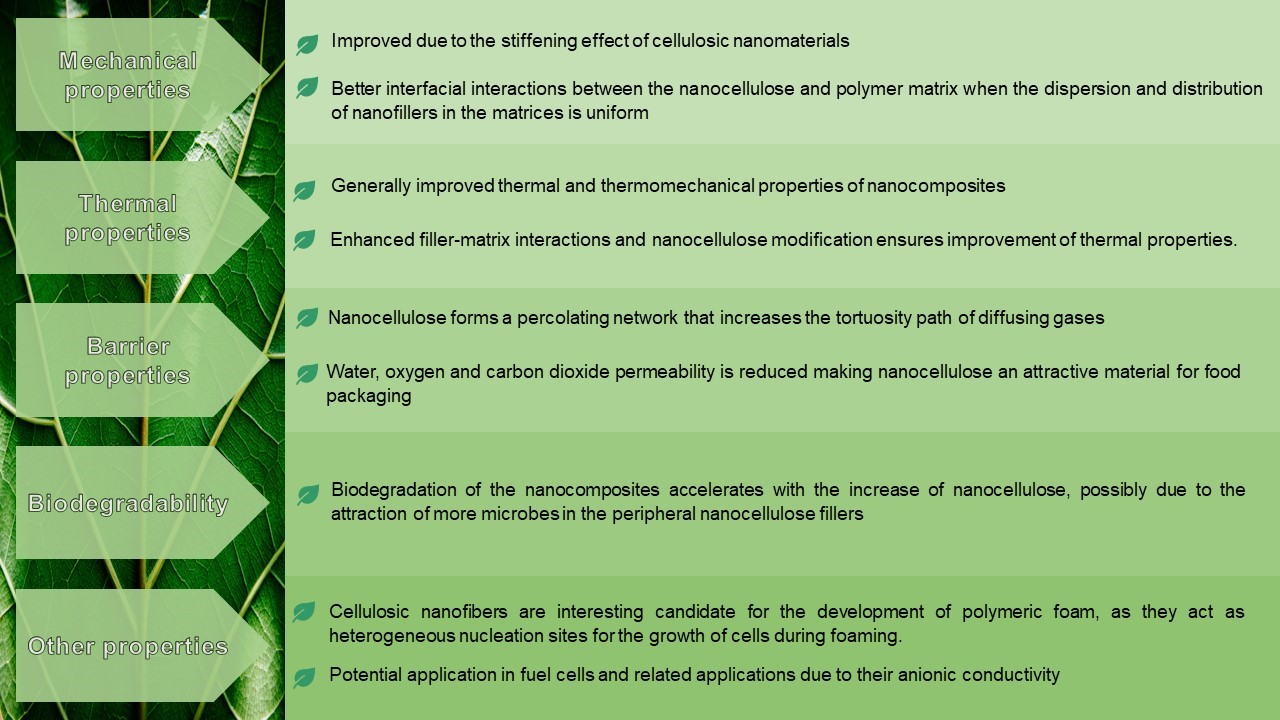 nanocellulose-3