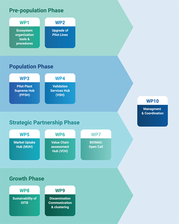 the project chart